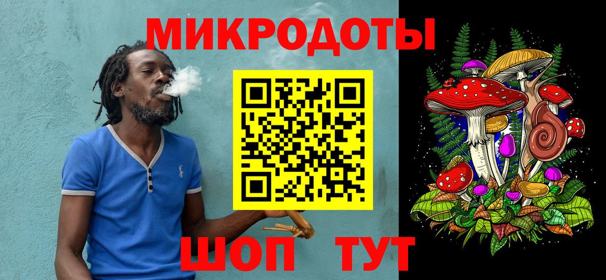 Псилоцибиновые грибы мицелий Будённовск